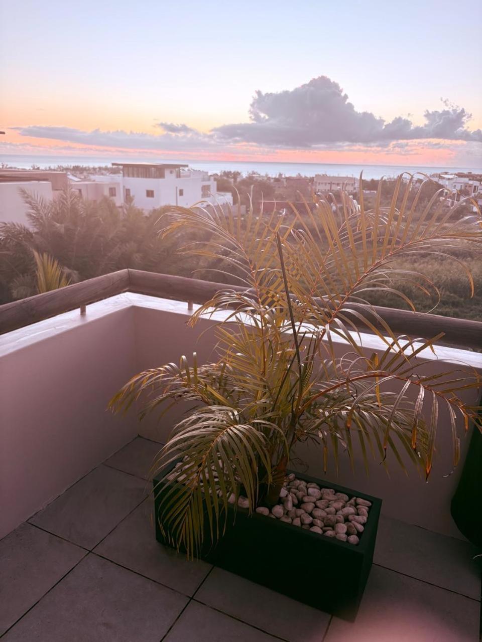 Stunning 3-Bedroom Apartment With Private Rooftop Terrace & Gorgeous Pool Flic-en-Flacq Eksteriør bilde